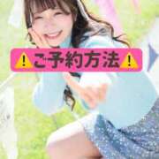 ヒメ日記 2025/02/24 09:59 投稿 ひなこ ムーランルージュ