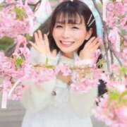 ヒメ日記 2025/03/09 08:40 投稿 ひなこ ムーランルージュ