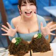 ヒメ日記 2025/04/07 09:20 投稿 ひなこ ムーランルージュ