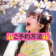 ヒメ日記 2025/05/12 10:28 投稿 ひなこ ムーランルージュ