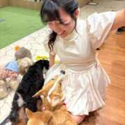 ヒメ日記 2026/07/06 20:01 投稿 ひなこ ムーランルージュ