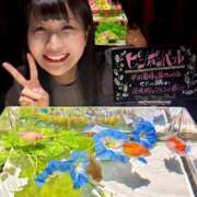 ヒメ日記 2026/10/01 06:14 投稿 ひなこ ムーランルージュ