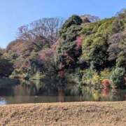 ヒメ日記 2026/03/24 15:25 投稿 しなもん とある風俗店♡やりすぎさーくる新宿大久保店♡で色んな無料オプションしてみました