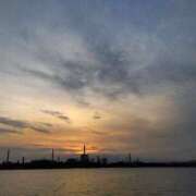 ヒメ日記 2026/03/25 22:01 投稿 しなもん とある風俗店♡やりすぎさーくる新宿大久保店♡で色んな無料オプションしてみました