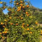 ヒメ日記 2024/12/25 13:07 投稿 りいな ぷるりんクエスト上野浅草鶯谷秋葉原デリヘル王国