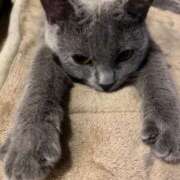 りいな 13時から出勤します ぷるりんクエスト上野浅草鶯谷秋葉原デリヘル王国