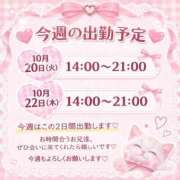 ヒメ日記 2026/10/20 11:45 投稿 りいな ぷるりんクエスト上野浅草鶯谷秋葉原デリヘル王国