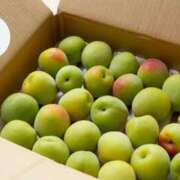 ヒメ日記 2025/06/25 10:42 投稿 けい ギン妻パラダイス 堺東店