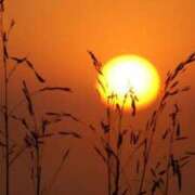 ヒメ日記 2025/08/30 19:04 投稿 けい ギン妻パラダイス 堺東店