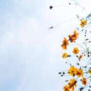 ヒメ日記 2025/09/17 22:55 投稿 けい ギン妻パラダイス 堺東店