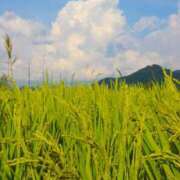 ヒメ日記 2025/09/22 13:32 投稿 けい ギン妻パラダイス 堺東店