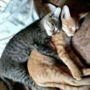 ヒメ日記 2025/12/25 18:03 投稿 けい ギン妻パラダイス 堺東店