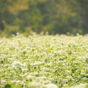 ヒメ日記 2026/02/19 18:04 投稿 けい ギン妻パラダイス 堺東店