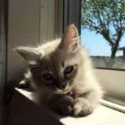 ヒメ日記 2026/02/27 03:43 投稿 けい ギン妻パラダイス 堺東店