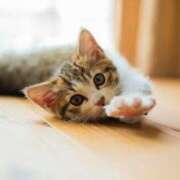 ヒメ日記 2026/03/08 00:38 投稿 けい ギン妻パラダイス 堺東店