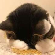 ヒメ日記 2026/03/09 19:52 投稿 けい ギン妻パラダイス 堺東店