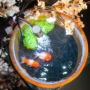 ヒメ日記 2026/04/05 12:12 投稿 けい ギン妻パラダイス 堺東店