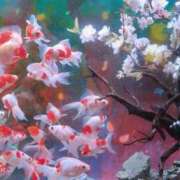 ヒメ日記 2026/04/05 21:28 投稿 けい ギン妻パラダイス 堺東店