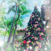 ヒメ日記 2024/12/19 15:06 投稿 ミヤビ Club 妻