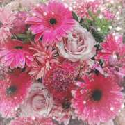 ヒメ日記 2024/12/23 12:00 投稿 ミヤビ Club 妻