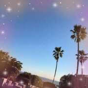 ヒメ日記 2025/01/01 15:56 投稿 ミヤビ Club 妻