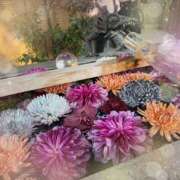 ヒメ日記 2025/01/21 17:51 投稿 ミヤビ Club 妻