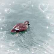 ヒメ日記 2025/02/01 14:52 投稿 ミヤビ Club 妻