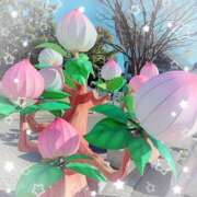 ヒメ日記 2025/02/04 22:34 投稿 ミヤビ Club 妻