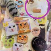 ヒメ日記 2025/02/05 15:07 投稿 ミヤビ Club 妻