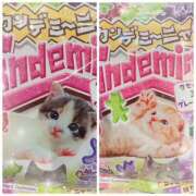 ヒメ日記 2025/02/15 14:48 投稿 ミヤビ Club 妻