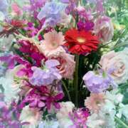 ヒメ日記 2025/02/17 14:51 投稿 ミヤビ Club 妻