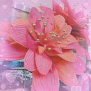 ヒメ日記 2025/02/24 21:00 投稿 ミヤビ Club 妻