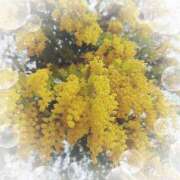 ヒメ日記 2025/03/12 14:58 投稿 ミヤビ Club 妻