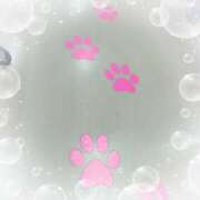 ヒメ日記 2025/04/14 21:06 投稿 ミヤビ Club 妻