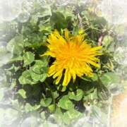 ヒメ日記 2025/04/16 14:58 投稿 ミヤビ Club 妻