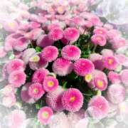 ヒメ日記 2025/04/19 15:11 投稿 ミヤビ Club 妻