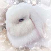 ヒメ日記 2025/04/20 13:34 投稿 ミヤビ Club 妻