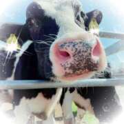 ヒメ日記 2025/04/21 20:47 投稿 ミヤビ Club 妻