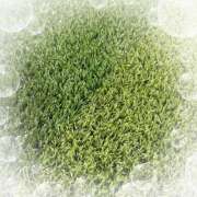 ヒメ日記 2025/04/25 14:46 投稿 ミヤビ Club 妻