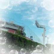 ヒメ日記 2025/05/02 15:00 投稿 ミヤビ Club 妻