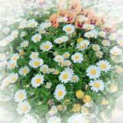 ヒメ日記 2025/05/10 14:26 投稿 ミヤビ Club 妻