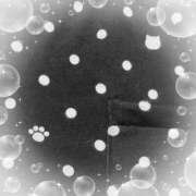 ヒメ日記 2025/05/16 15:31 投稿 ミヤビ Club 妻