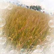 ヒメ日記 2025/05/23 15:08 投稿 ミヤビ Club 妻