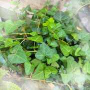 ヒメ日記 2025/07/03 10:52 投稿 ミヤビ Club 妻