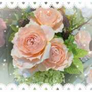 ヒメ日記 2025/07/14 22:13 投稿 ミヤビ Club 妻