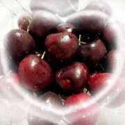 ヒメ日記 2025/07/15 15:49 投稿 ミヤビ Club 妻