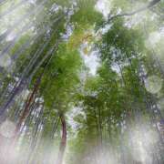 ヒメ日記 2025/07/21 14:41 投稿 ミヤビ Club 妻