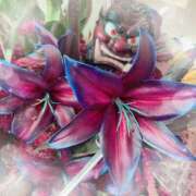 ヒメ日記 2025/07/23 15:18 投稿 ミヤビ Club 妻