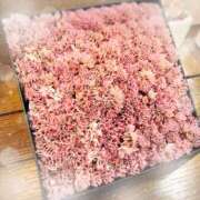 ヒメ日記 2025/08/07 15:18 投稿 ミヤビ Club 妻