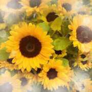 ヒメ日記 2025/08/17 21:21 投稿 ミヤビ Club 妻